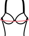 Illustration: measuring tape around the fullest part of the chest.